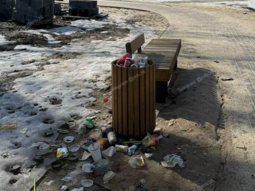 «Свиньи воронежские!»: горожан прорвало после увиденного в центральном парке