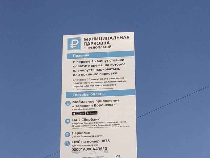 Выписавший штраф за парковку чиновник пойдет под суд в Воронеже
