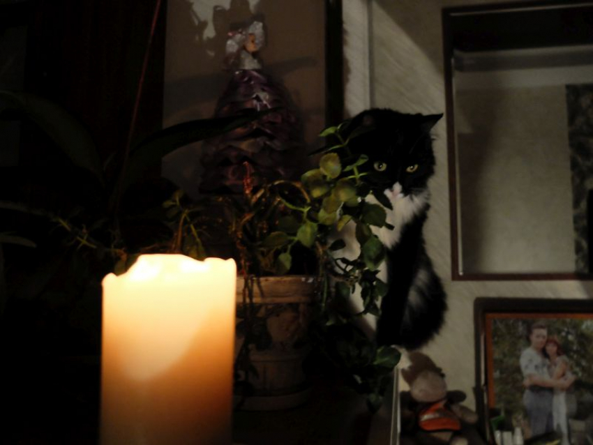 Стало известно, где воронежцы останутся без света 4 февраля: опубликован график