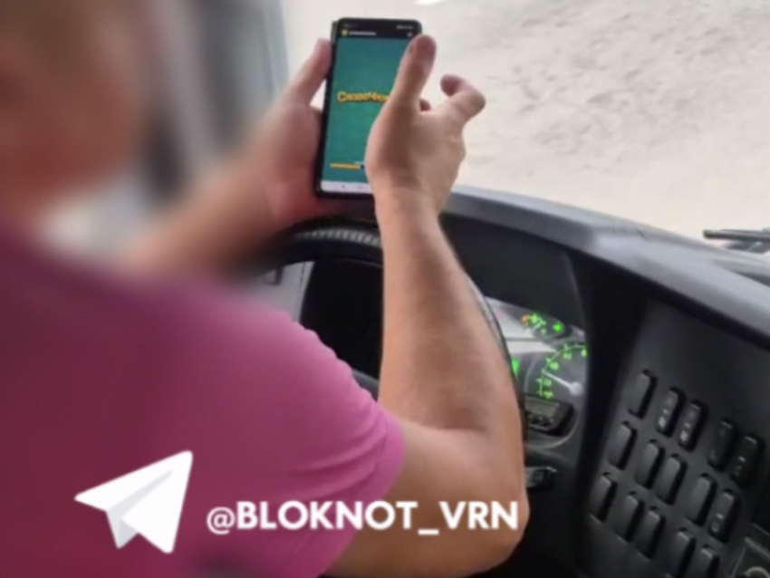 Возмутительное занятие маршрутчика привело к штрафу в Воронеже 