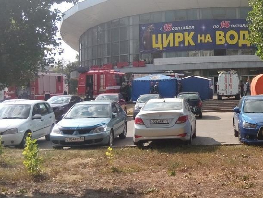 Воронежцев испугало скопление спецслужб у цирка 