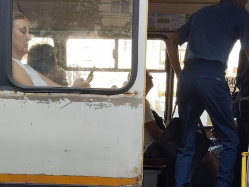 С Днем консервной банки пазиков поздравили воронежцев