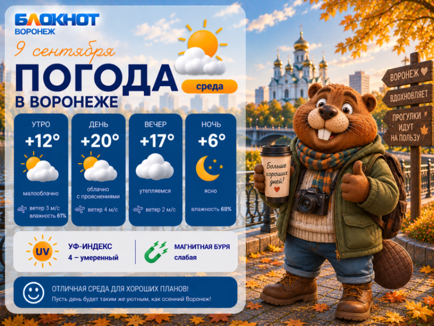 Лето и дожди: прогноз погоды в Воронеже