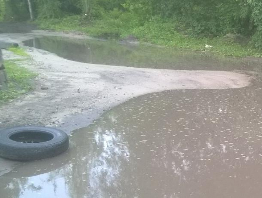 Уличком рассказала, почему стыдно смотреть в глаза воронежцам