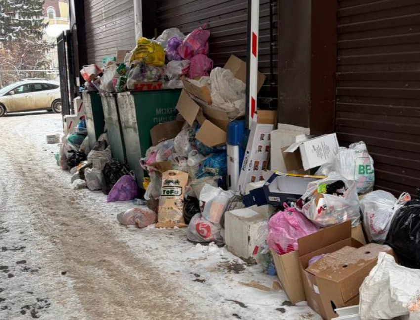 Мусорный «самострой» появляется в центре Воронежа
