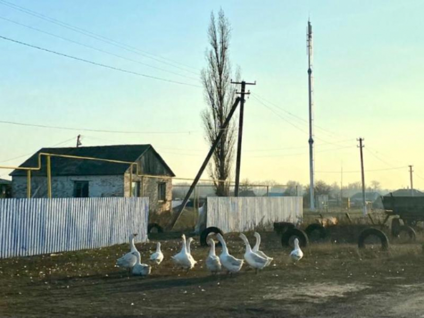 6,5 тысяч воронежских сельчан впервые получили связь и интернет