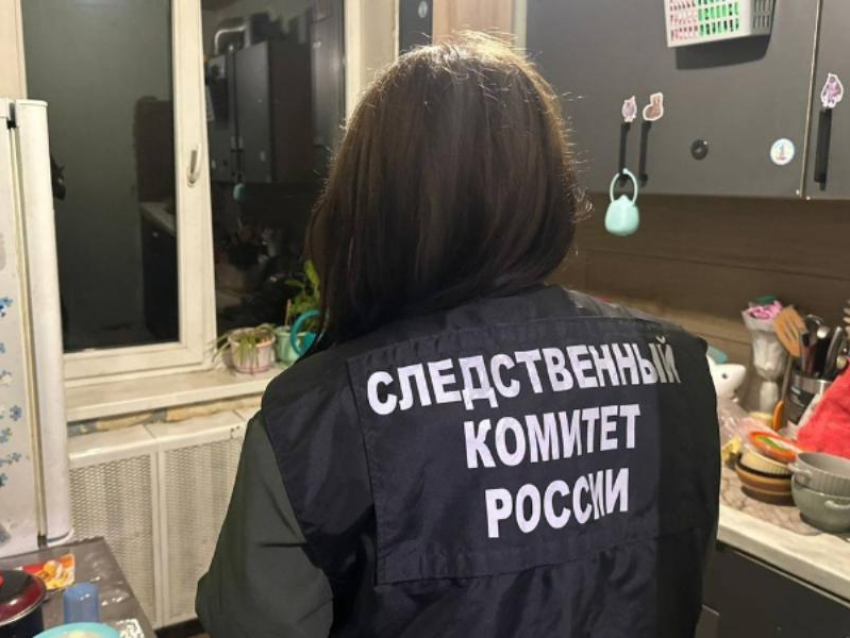 Истязание годовалого малыша из Воронежа дошло до Бастрыкина 