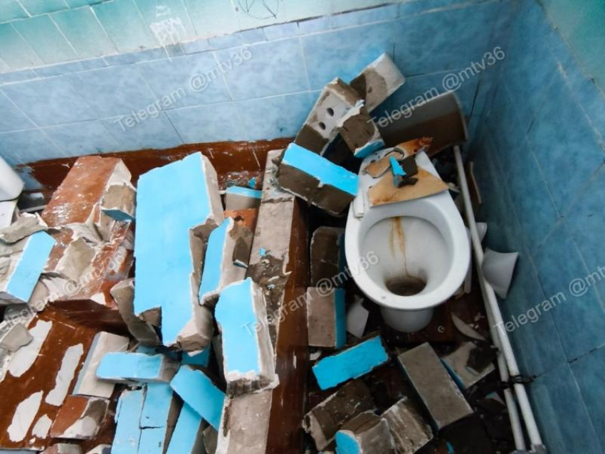 Туалетная перегородка обрушилась на девочку в воронежской школе №87