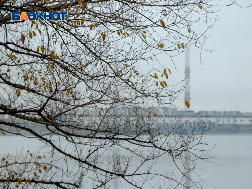 Вечером Воронежскую область накроет туман