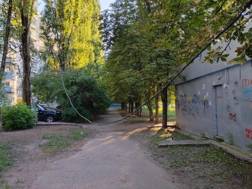 «Ходим на карачках»: кабель электропередачи сравнялся с землей в Коминтерновском районе Воронежа