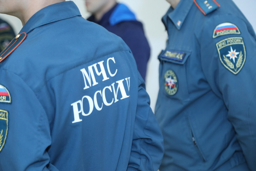 Зачем инспекторы МЧС съехались со всей России в Центр Галереи Чижова
