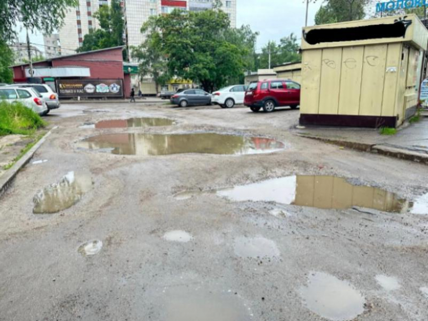 Бесплатный бассейн с лужевой водой обнаружили в Воронеже