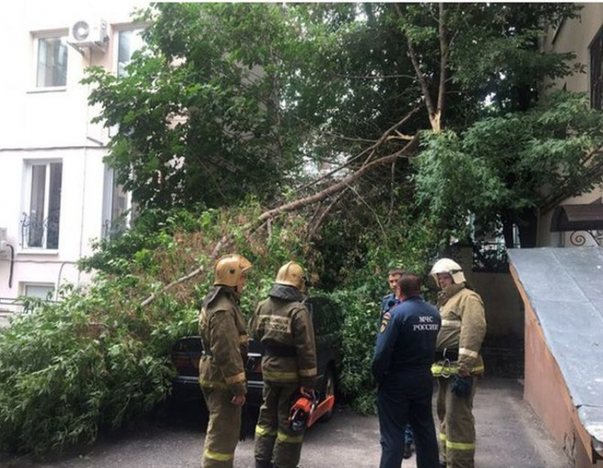 В районе Воронежского госуниверситета упавшая ветка скрыла черную иномарку