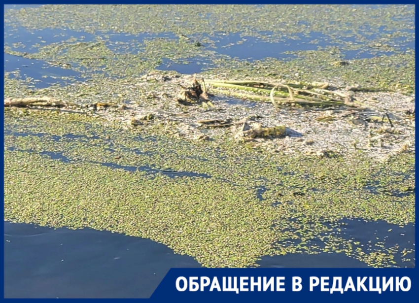 Домашнее видео воронеж порно ▶️ Смотреть или скачать ролики из подборки