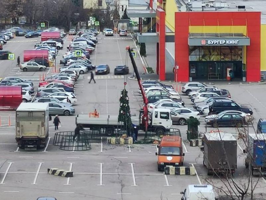 Первую новогоднюю елку начали ставить в Воронеже