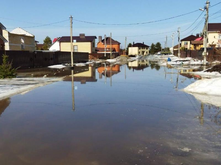 "Детей приходится выносить на руках", –100-метровую лужу обнаружили в Воронеже