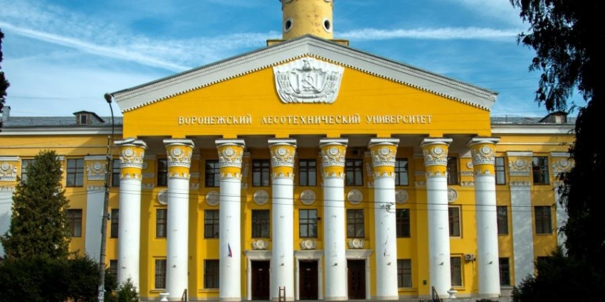 Воронежский «лестех» попробует продать свой питомник за 19 млн рублей