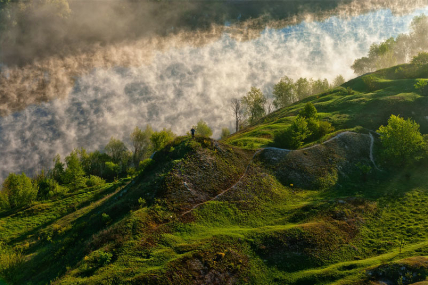 Стали известны имена победителей конкурса «Фотовзгляд на заповедную природу Воронежского края»