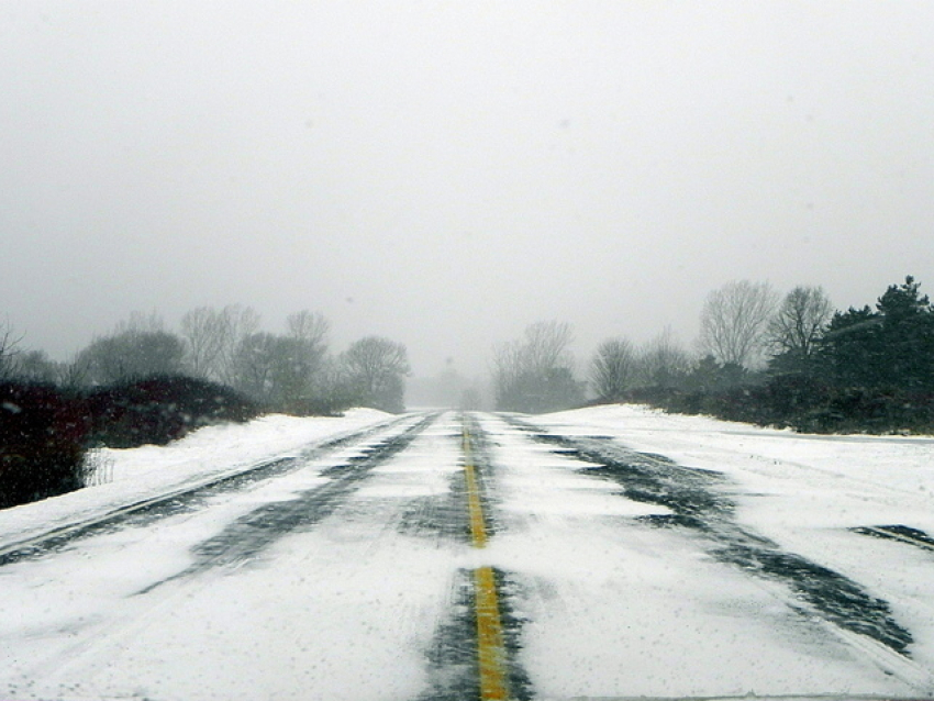 В Воронеже из-за 52-летней автоледи погиб молодой мужчина