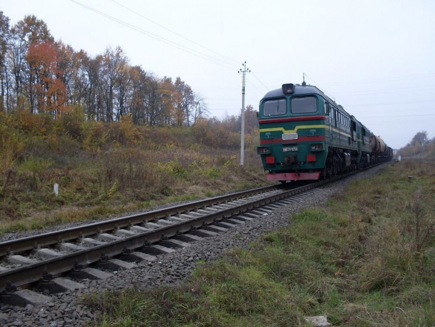 Пассажирский поезд сбил девушку в Воронежской области