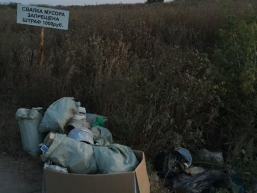 Воронежцы наплевательски закидали мусором запрет властей 