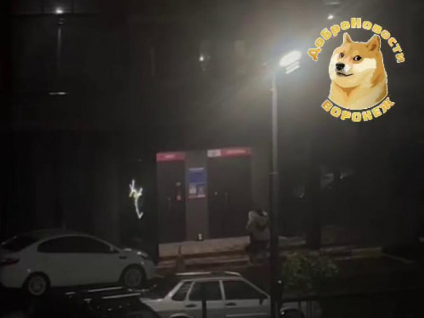 Свидание вопреки непогоде попало на видео в Воронеже
