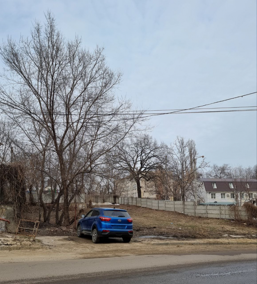 Воронежцы обратили внимание на сквер-фантом