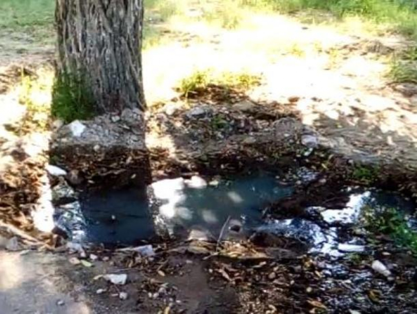Фекальные воды затопили городской парк в Воронежской области