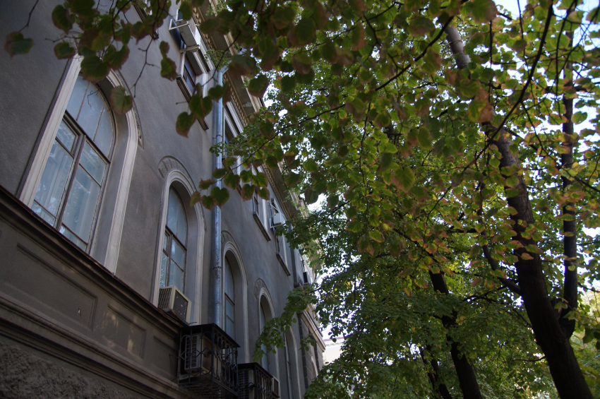 Свадебный сквер появится в Воронеже