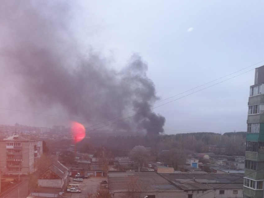 Черный дым из леса на юго-западе города с утра переполошил воронежцев