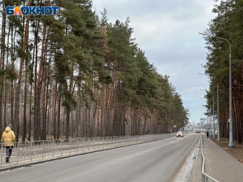  Названы причины плохих дорог в воронежских селах 