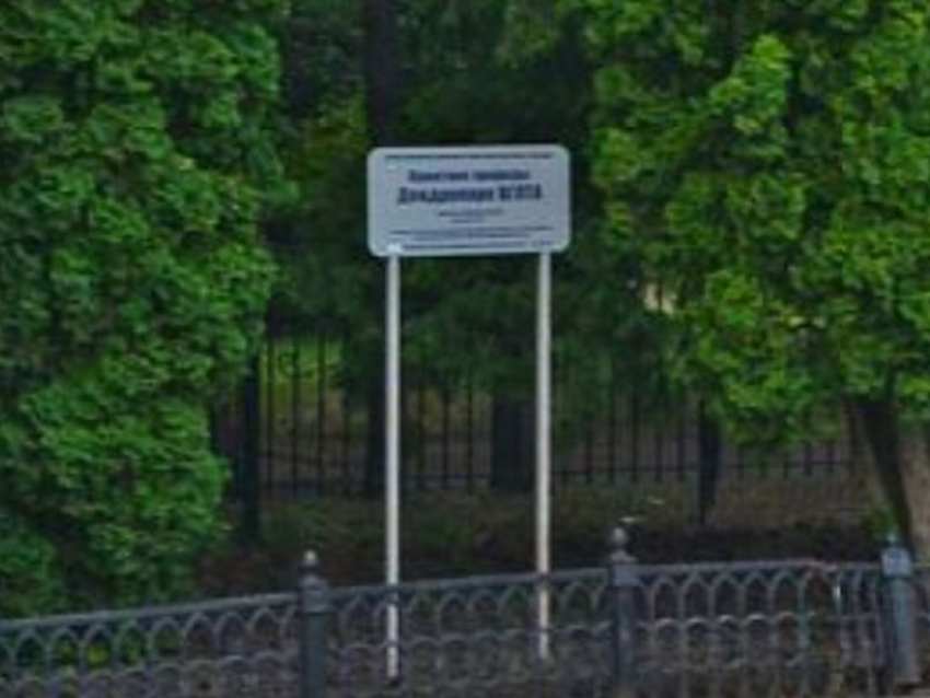 52 года назад дендропарк Воронежского «лестеха» признали памятником природы