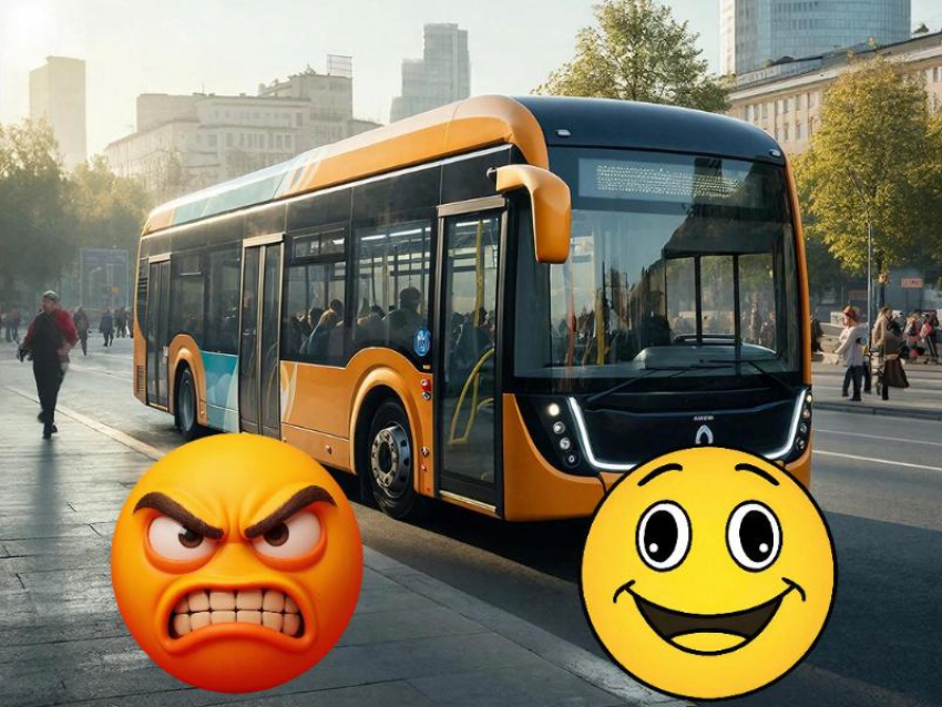 Воронежцы высказали все, что думают об анонсированной схеме метробуса