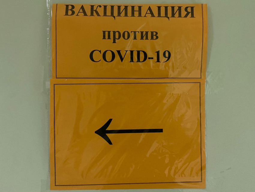 Обязательная вакцинация может начаться в Воронежской области уже на следующей неделе