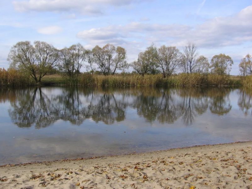 За 45,5 млн рублей под Воронежем очистят реку по проекту 2016 года