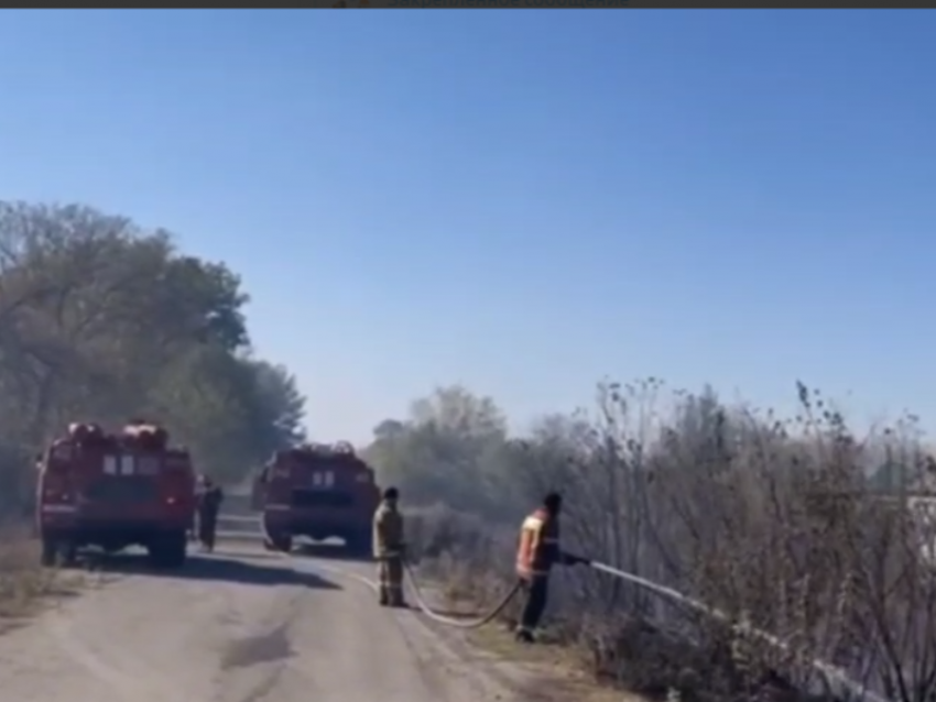 Жилые дома защитили от пожара в Воронежской области – опубликовано видео