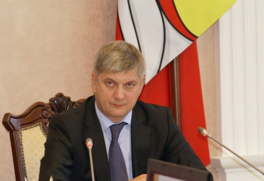 Воронежский губернатор заявил о бессмысленности государственных отчетов