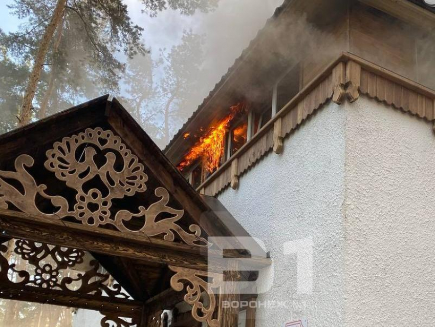 Кафе в парке «Дельфин» загорелось ранним утром в Воронеже