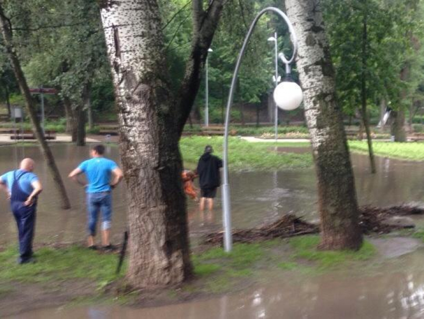 Опубликовано фото ушедшего под воду парка «Динамо» в Воронеже