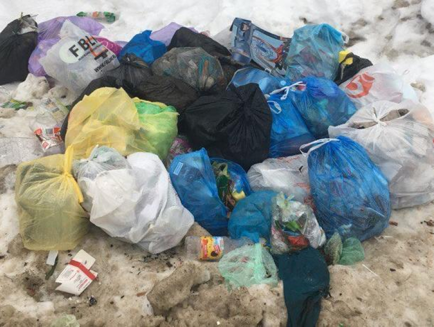 Жители частных домов выстроили мусорную гору у воронежского ЖК