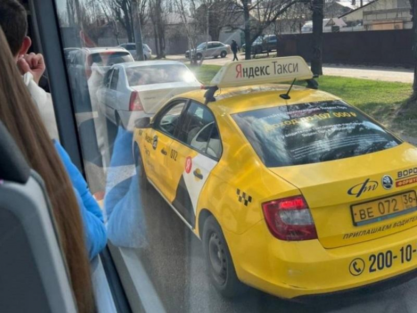 Как должно выглядеть такси, законодательно закрепили воронежские депутаты
