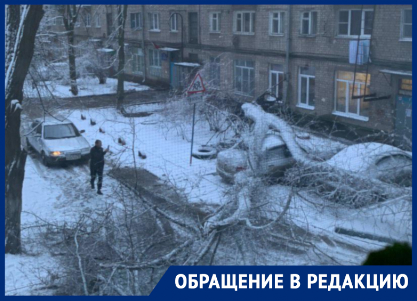 Гигантское дерево рухнуло на легковушку в центре Воронежа