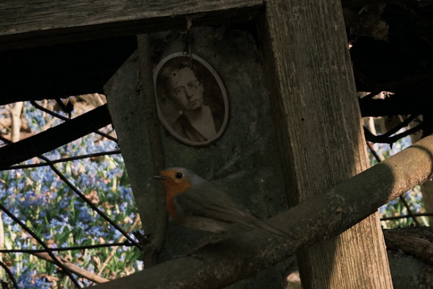  Могила ведьмы или место ритуалов сатанистов: воронежцы десятилетиями спорят о странном кладбище в Центральном районе