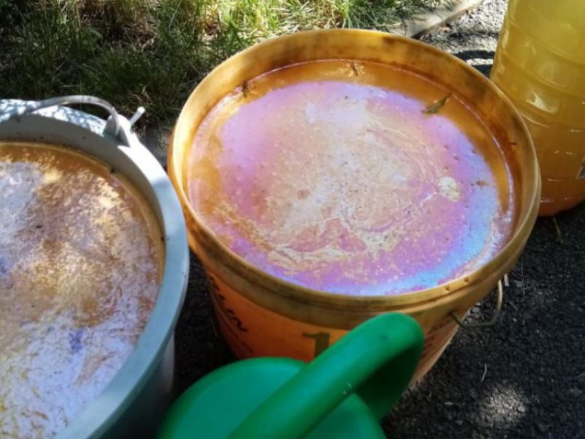 Цвет воды шокировал жителей села под Воронежем 