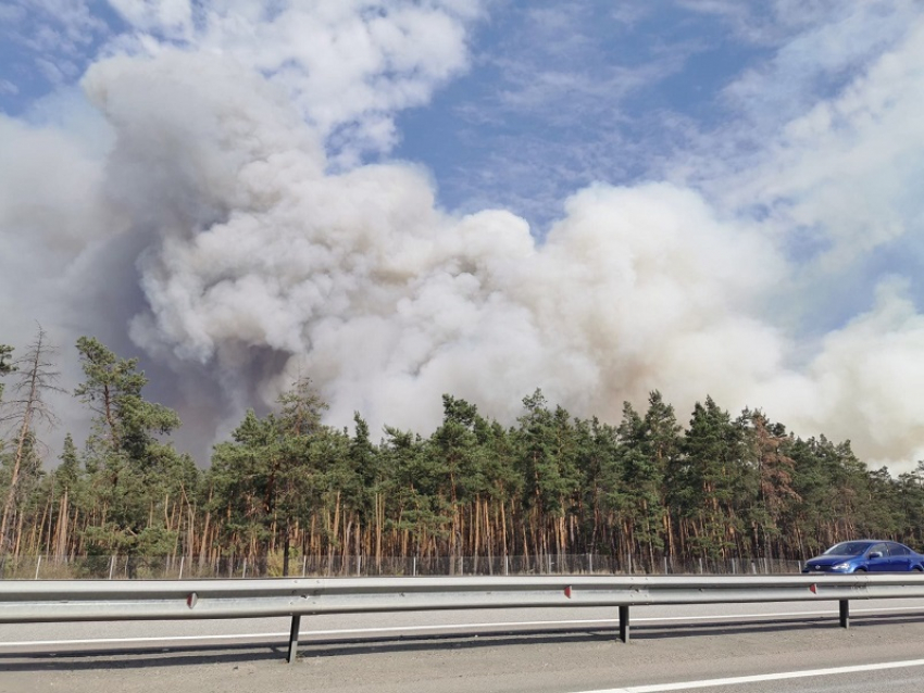 Воронежский поселок подготовили к эвакуации из-за масштабного пожара