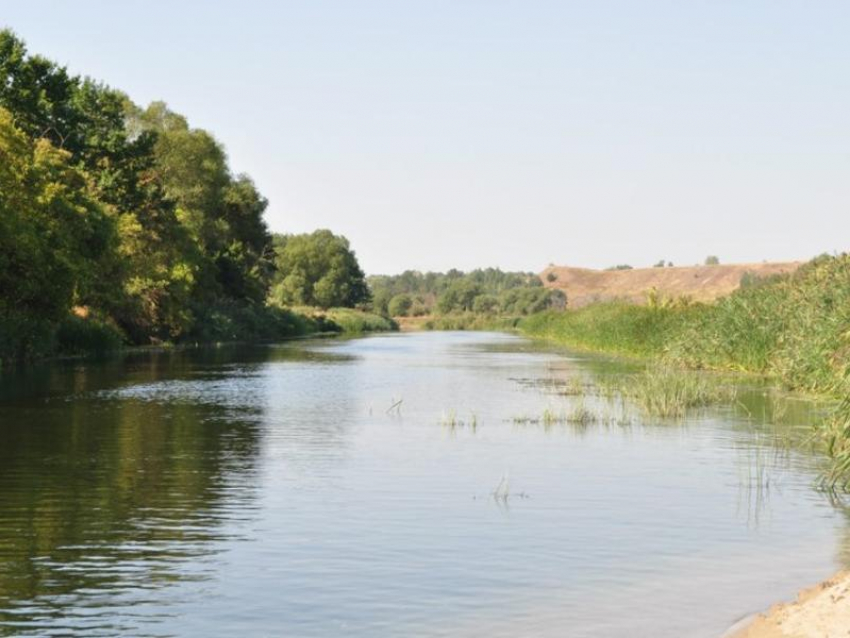 Самое красивое село снова выберут в Воронежской области 