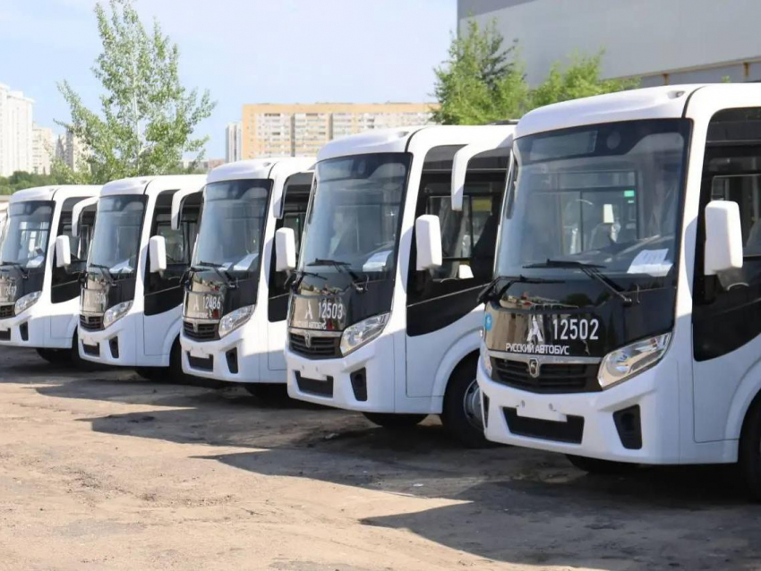 Партию из 30 новых низкопольных автобусов получит Воронеж