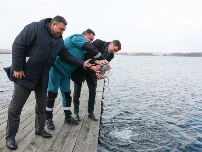 Мэр Воронежа Сергей Петрин выпустил в водохранилище 80 тысяч толстолобика и сазанов 