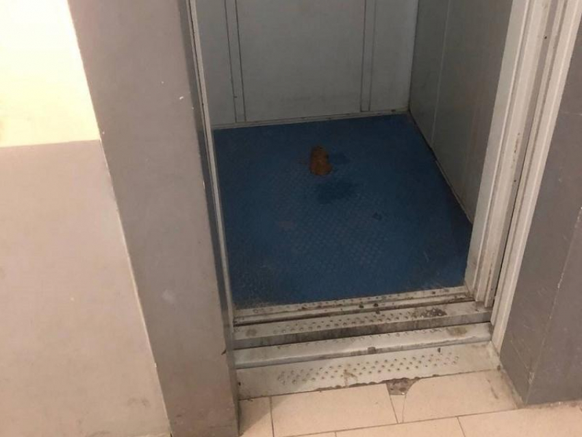 «Воняет ужасно»: огромный сюрприз с крайне неприятным запахом заметили воронежцы в лифте многоэтажки