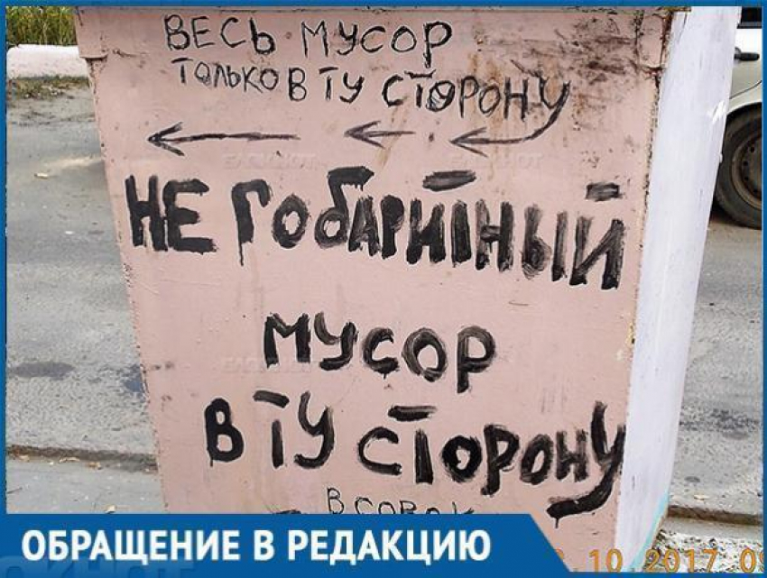 В воронежском дворе завелся маниакальный борец за порядок и чистоту